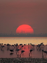 Photo:  sunset africa